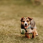 Miniu 616093902519315