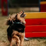 Grześ 616093902519314