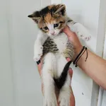 Smaczusia rezerwacja