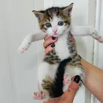 Chrupeczka rezerwacja