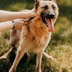 Dorka 616093902519391