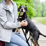 Lusia 249/2024 REZERWACJA