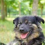 20.05.2024 - Kozienicka