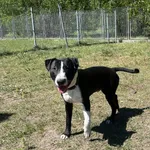 GK/10/1/24 Thor   data przyjęcia - 10.04.2024