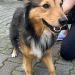 12898/112/24 -  data przyjęcia - 06.06.2024