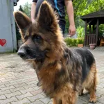 12901/115/24 Hera -  data przyjęcia - 09.06.2024