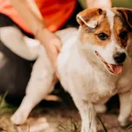 Oski 616093902519311