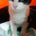 INTERWENCJA 12.06.2024.