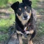 Tuti - ur.ok. 05.03.2019