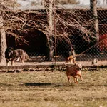 Leguś 616093902519409