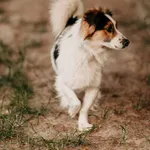 Fafik 616093902519392