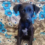 Z Racji Tego, Że Dzisiaj Jest Dzień Dziecka A On Nigdy Dzieciństwa Nie Miał Chciałabym Podarować Mu Dom