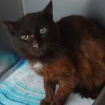 INTERWENCJA 19.06.2024.