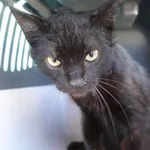 INTERWENCJA 20.06.2024.