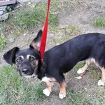 12910/124/24 - data przyjęcia - 22.06.2024