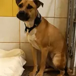 12911/125/24 - data przyjęcia - 22.06.2024