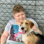 Pies do adopcji, Nowodwór, 27 czerwca 2024