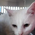 ZNALEZIONY 20.06.2024.