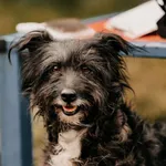 Krysia 616093902519484