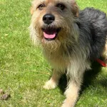 12918/132/24 Disney - data przyjęcia - 28.06.2024