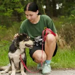 Pies do adopcji, Nowodwór, 1 lipca 2024