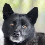 Ministrant - nieoszlifowany diament!