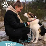Pies do adopcji, Dąbrówka, 3 grudnia 2025