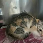 4514/82/24 - data przyjęcia - 06.07.2024