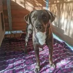 17.06.2024- Kotarbińskiego