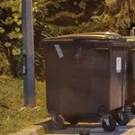 Znaleziono kota, Przemyśl, 13 lipca 2024