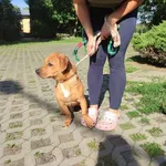 14.06.2024 - Szarych Szeregów