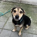 03.07.2024 - Wośnicka