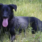 Suczka poz. 24/0389 w DT