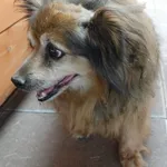 SUCZKA Z INTERWENCJI DNIA 24.07.2024