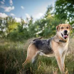 Wielki Bąbel z wielkim serduchem i uśmiechem od ucha do ucha!