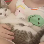 Zaginął kot, Stara Przysieka, 30 lipca 2024