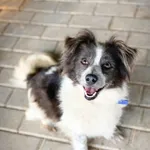 Yochi - ur.ok.12.07.2022