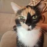 Fruzia, poszukiwana od lipca