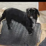 UWAGA zaginęła nela