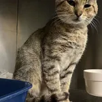 4534/102/24 FROST - data przyjęcia - 05.08.2024