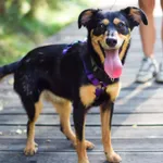 Frotka 352/2024 REZERWACJA