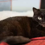 Mak - ur.ok. 06.11.2021