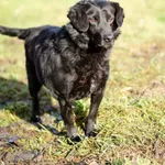 Dżony, idealny kompan rozgląda się za wymarzonym domem!