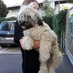 GW/213/19/24 DYZIO  - data przyjęcia - 15.08.2024 przebywa w domu tymczasowym