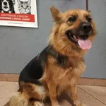 12947/161/24 - data przyjęcia - 27.08.2024