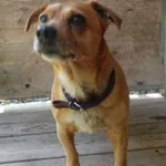 INTERWENCJA POLICJI 27.08.2024.