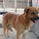 INTERWENCJA 24.08.2024.