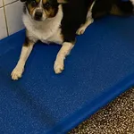 GB/7/3/24 - Kodi data przyjęcia - 29.08.2024