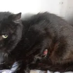 INTERWENCJA 22.08.2024.