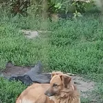 Same Zbudowały Wokół Siebie Mur Kryjąc Się Przed Złem Którego Doświadczyły